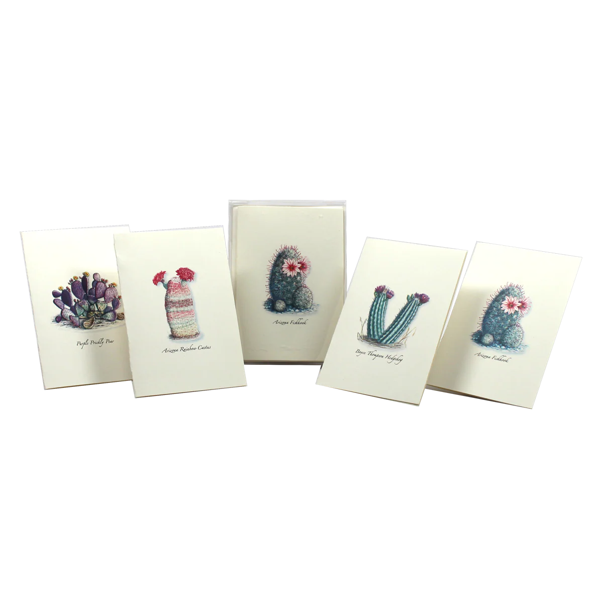 Boxed Notecards: Cacti Assortment I - Image 3