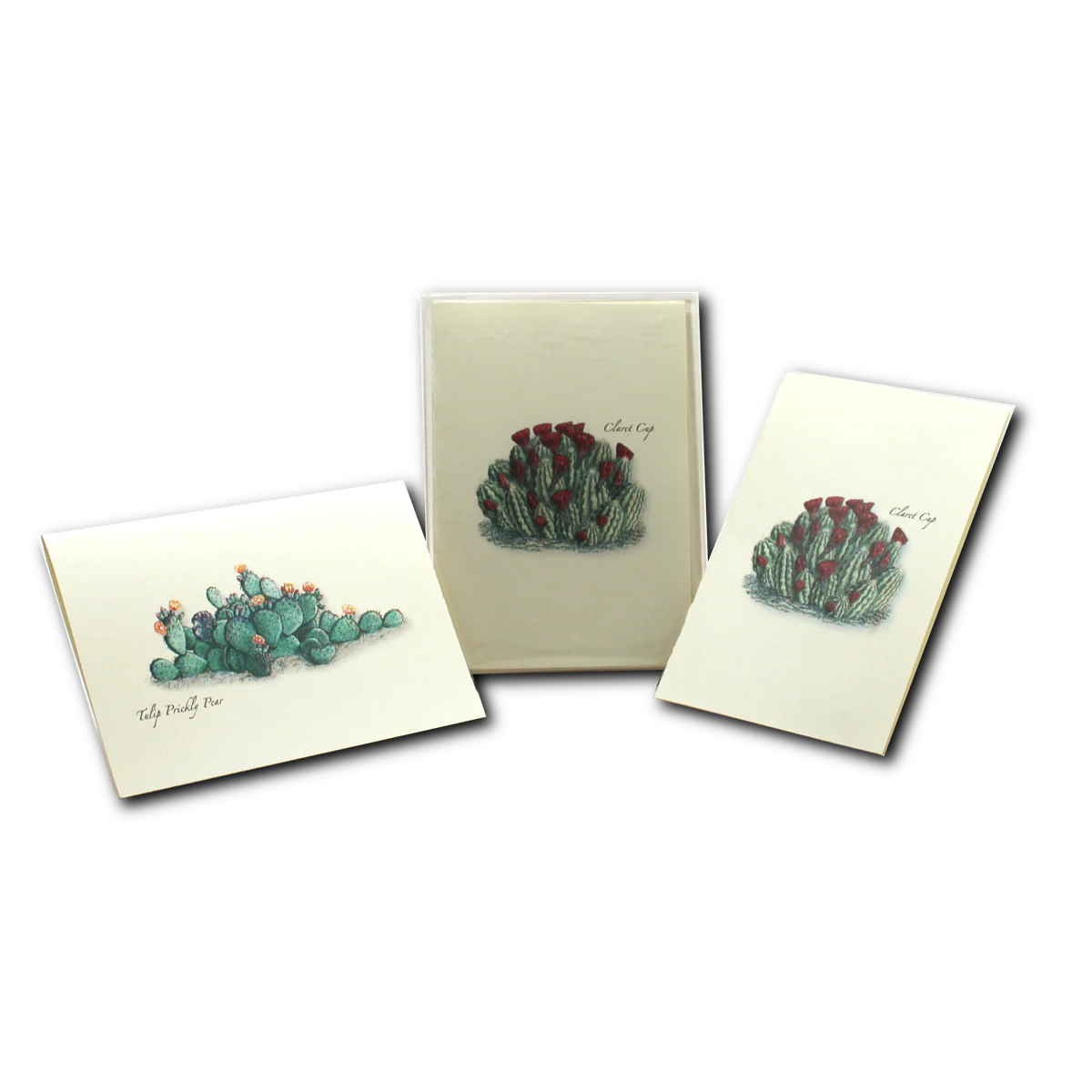 Boxed Notecards: Cacti Assortment II - Image 3