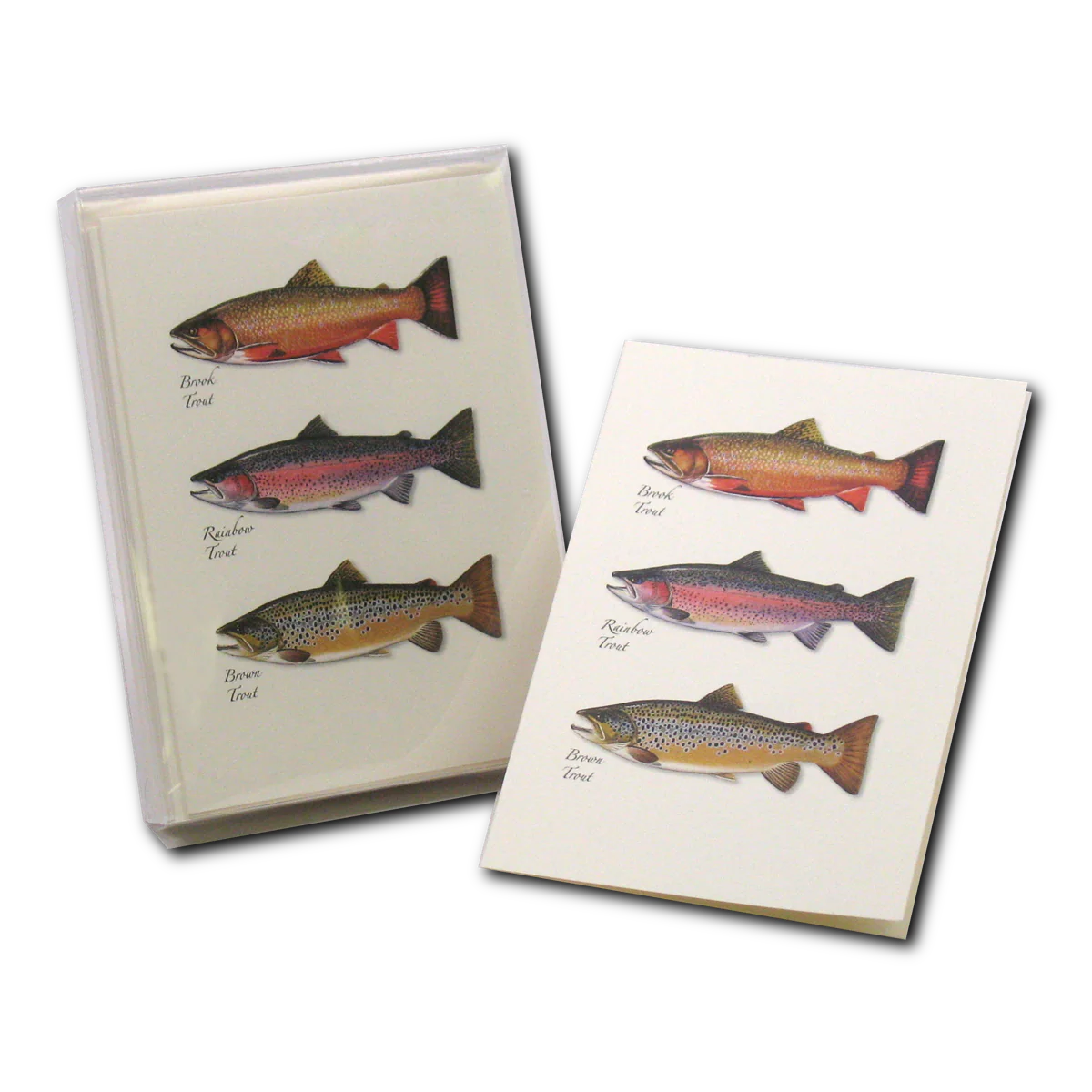 Boxed Notecards: Trout Trio - Image 3