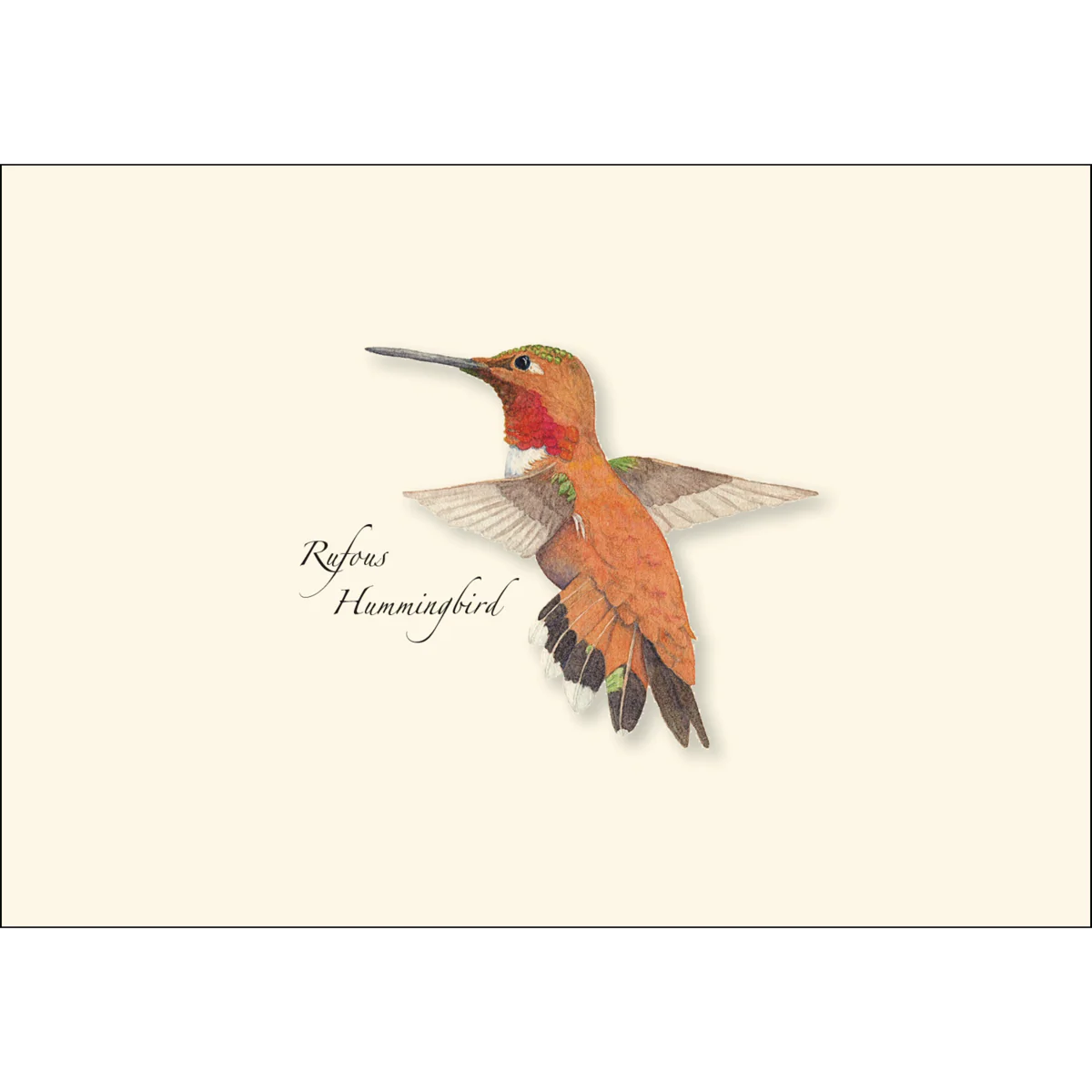 Boxed Notecards: Western Hummingbird - Image 5